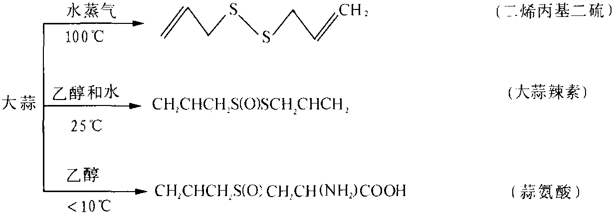 一、大蒜的化學(xué)組成